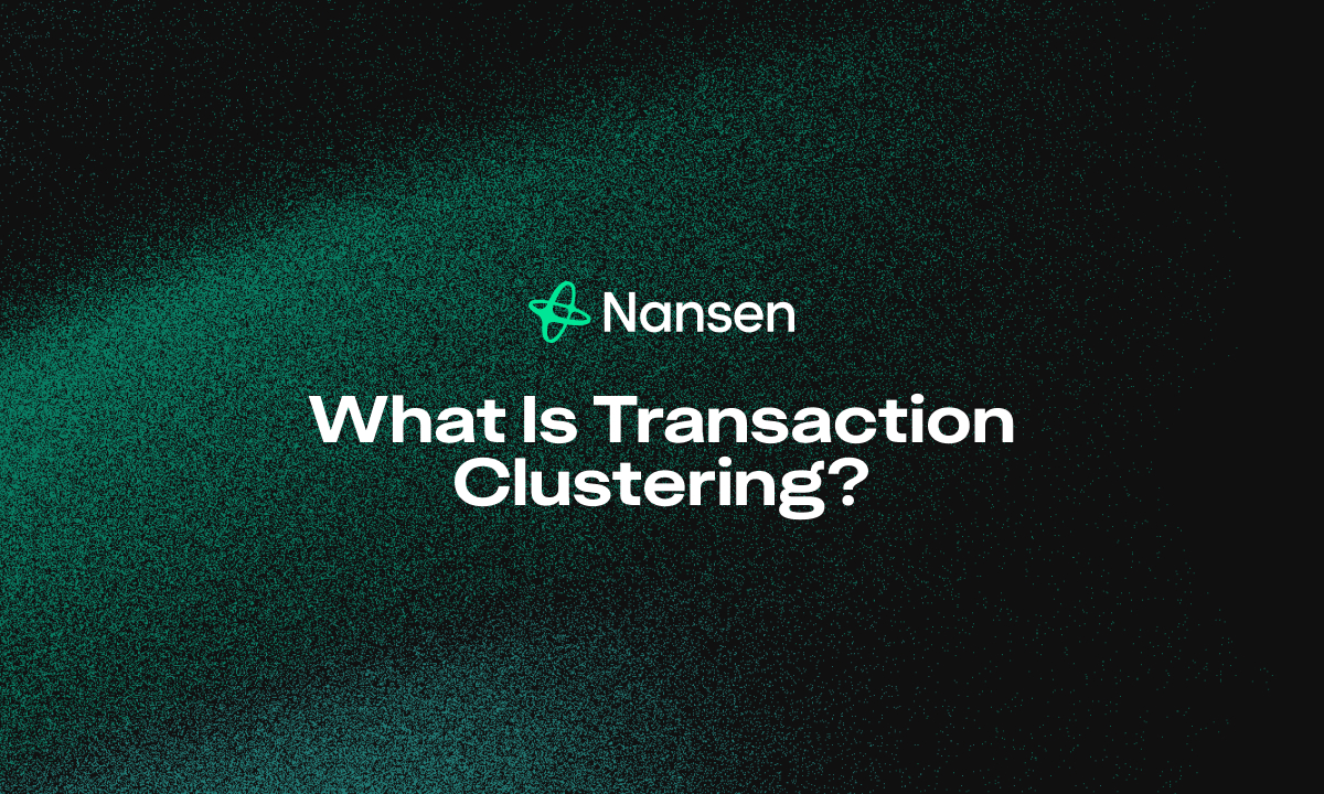 Prodigal AI clustering wallet analytics